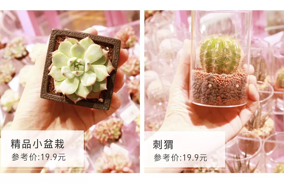 这样买划算多了,什么口红面膜实惠