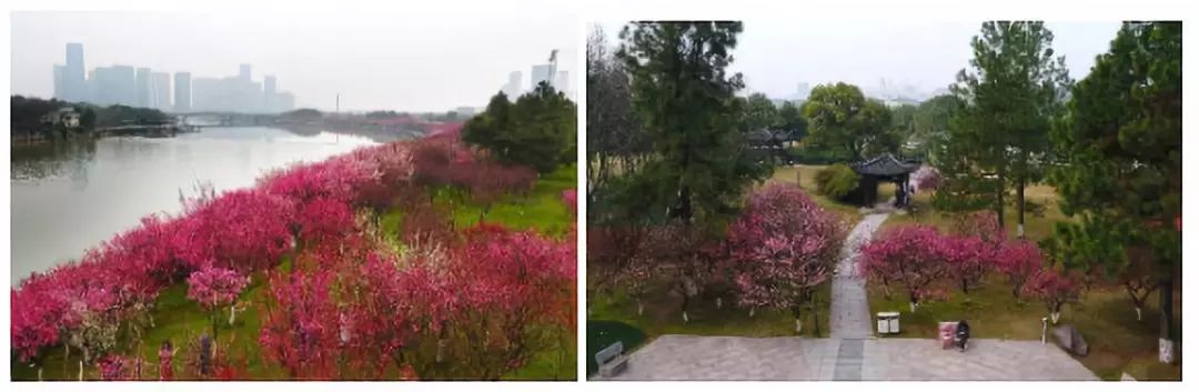 义乌十大网红打卡地,义乌网红打卡小镇