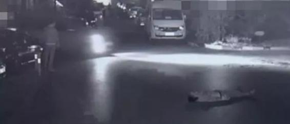 司机车库碾死醉汉,醉汉把公交车司机打瘫痪