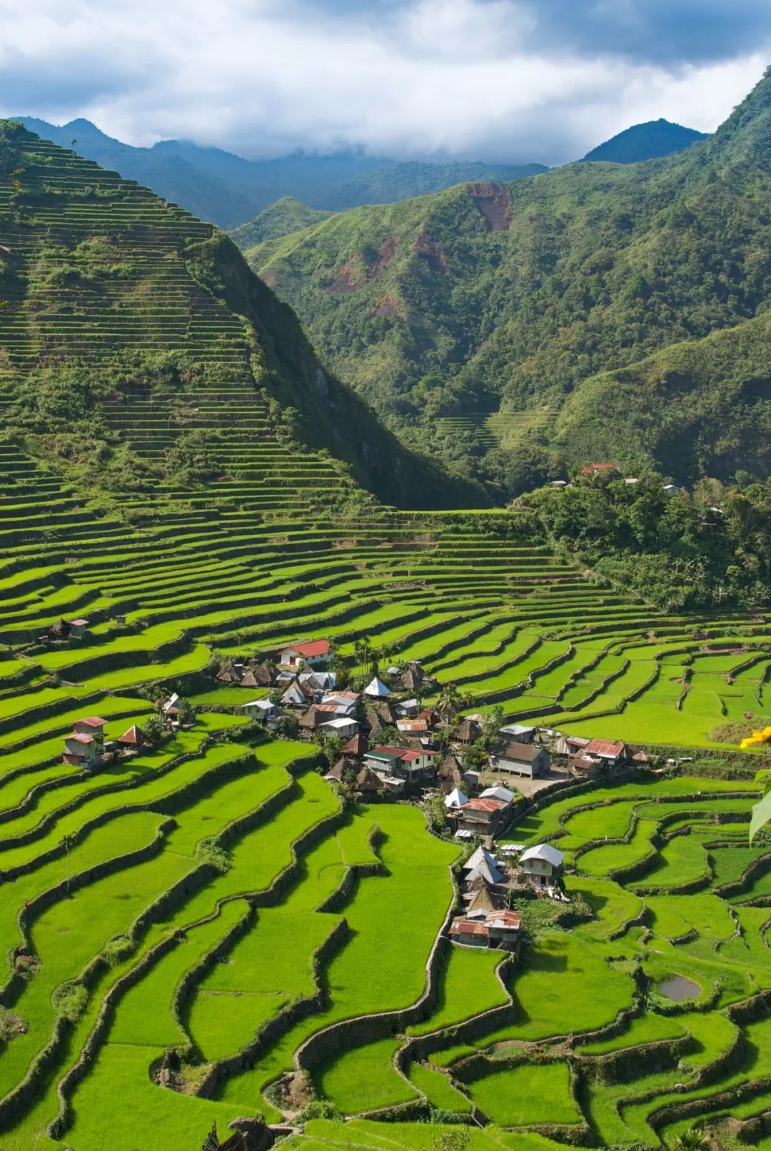 菲律宾塑料破碎,菲律宾碎尸案