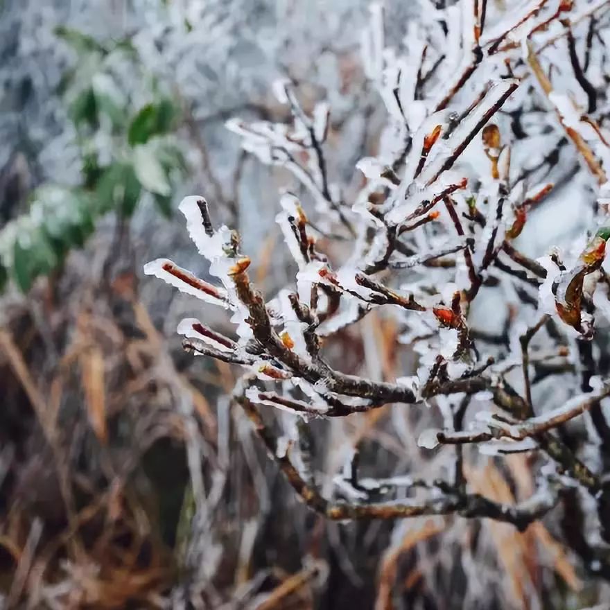 请回答1988广州恒大酒店 (请回答广州2018)