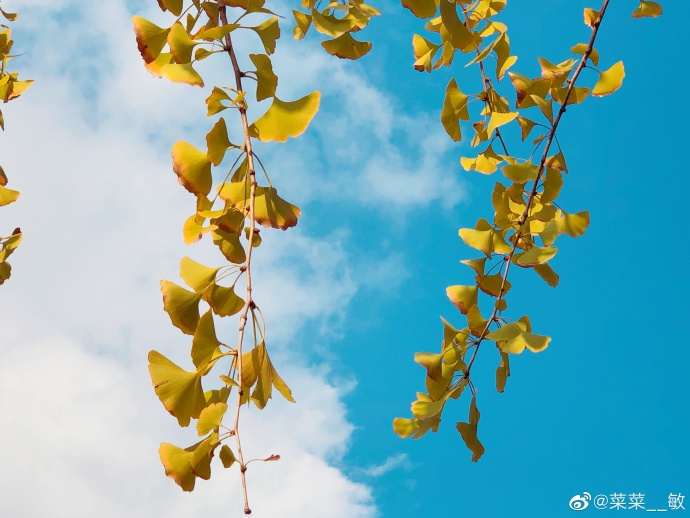 最新福州温泉公园,福州温泉公园