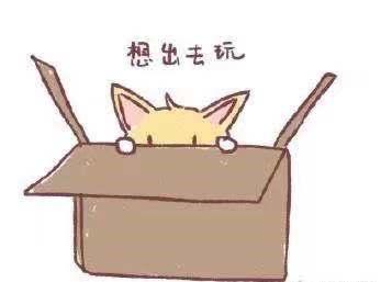 洛阳夜晚网红打卡圣地,洛阳广州市场网红打卡地