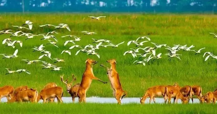 昨天两条铁路开通！无锡人可以高铁游苏北了！明年还有更厉害的……