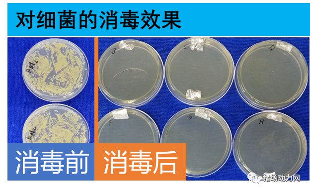 幻影360分子悬浮消毒机消毒原理,幻影360分子悬浮消毒机使用方法