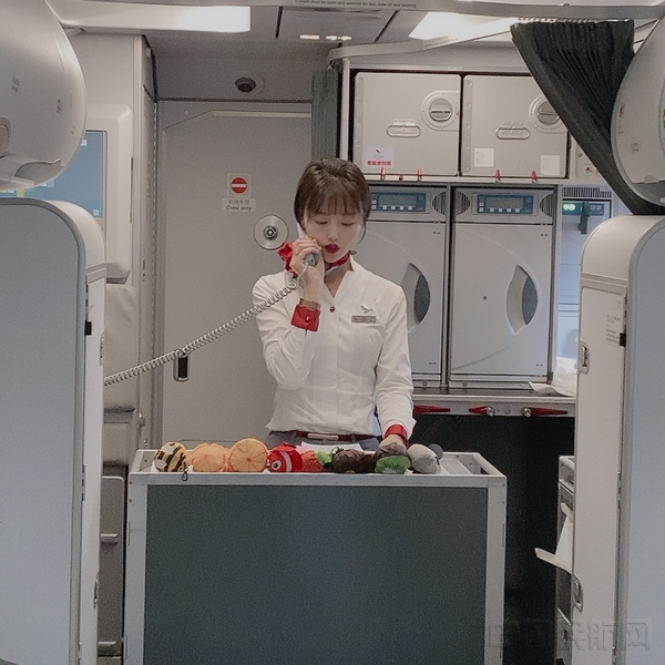 红航举行“蓝天守护者”机上环保主题活动