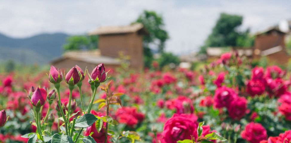 潮玩灵感微醺一夏沁凉开启,潮玩游玩攻略