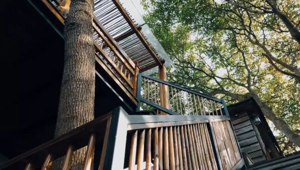 上海市崇明南来北往精品民宿,崇明恬园居民宿和风小木屋团购