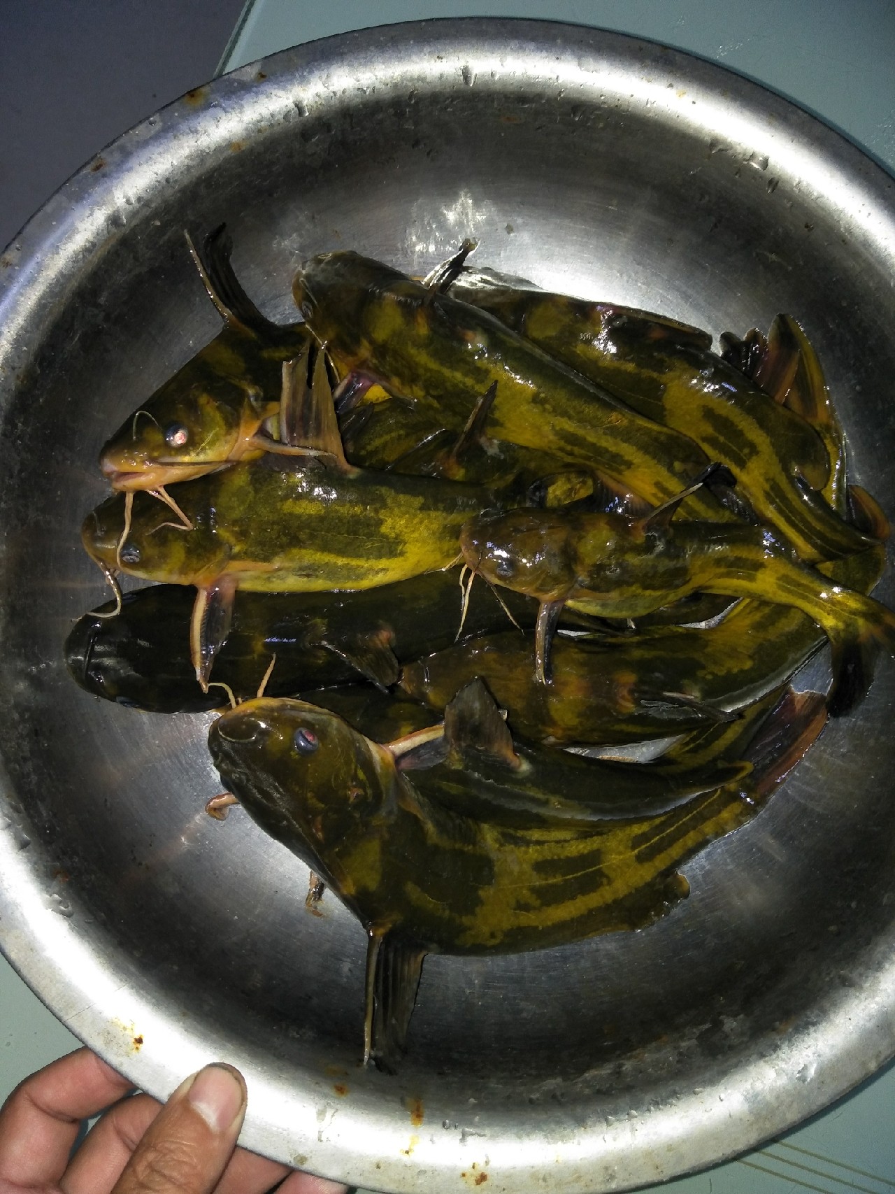 矶竿浮球钓法,矶竿岸筏怎么用