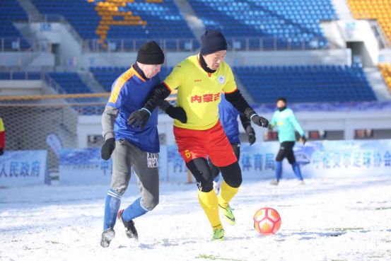 第十四届冬运会雪地足球比赛,十四冬运会赛场
