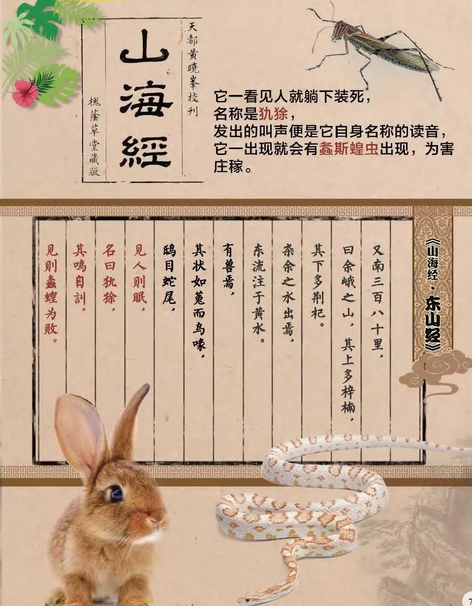 2014年世界杯吉祥物福来哥杯子,巴西吉祥物福来