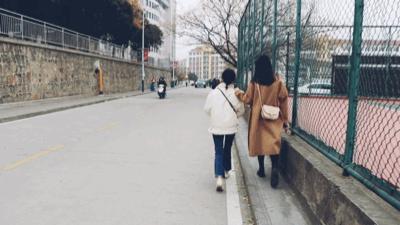 合肥安农大蜀山区,合肥安农大老校区地址