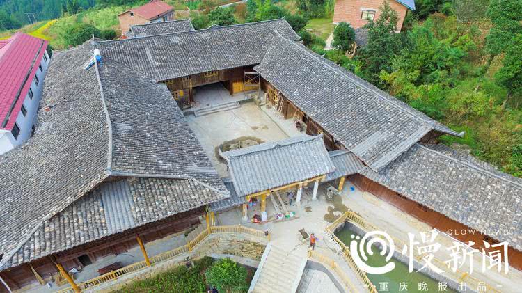 驻村第一书记代购员,第一书记带货贫困户土鸡蛋