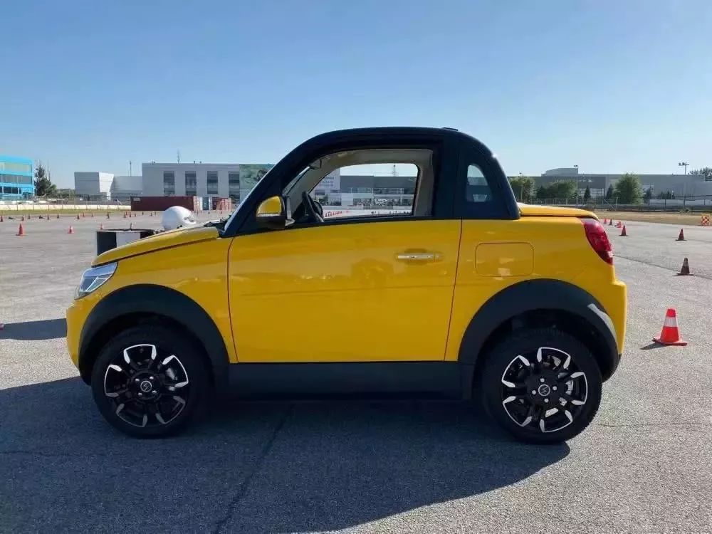 赛麟迈迈与青年迈迈的关系,赛麟迈迈卖了多少