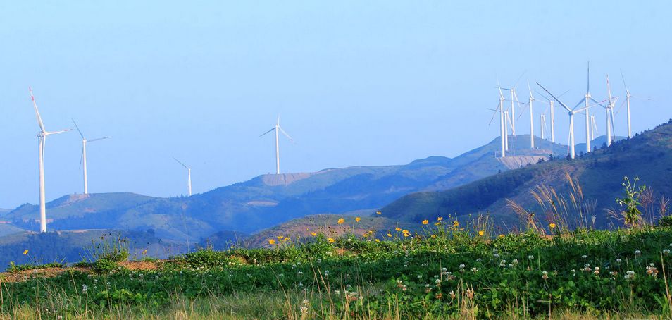 2020骞翠綑棰濆凡涓嶈冻,2019骞村凡浣欓涓嶈冻