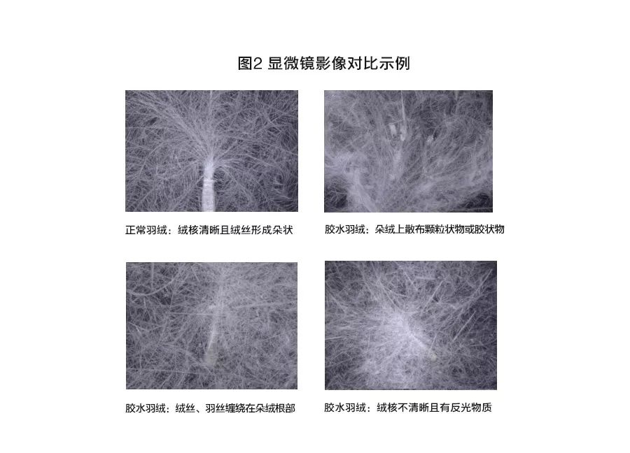 青岛人常买的衣服,青岛人穿什么牌子羽绒服