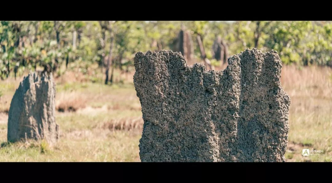 澳洲必去的几个地方,澳大利亚哪些景点值得去