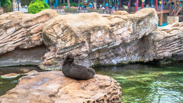 海底探秘视频,海底探秘海洋馆