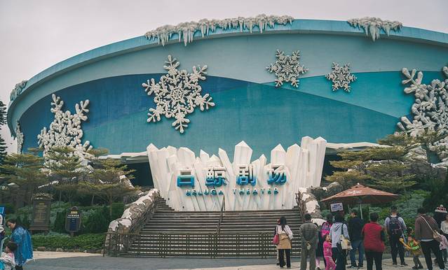 珠海长隆海洋王国海底夜宿,珠海长隆海洋王国鲸鲨馆海底区