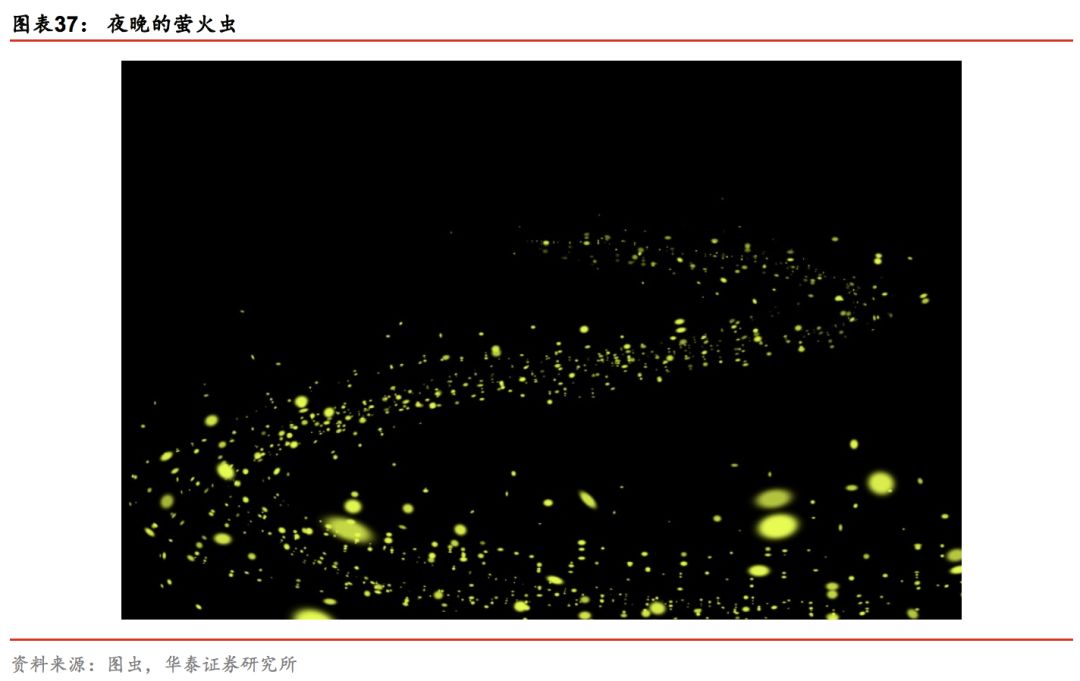 华泰林晓明,华泰证券林晓明团队