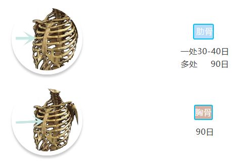 「骨科康复」骨折愈合分期和愈合时间