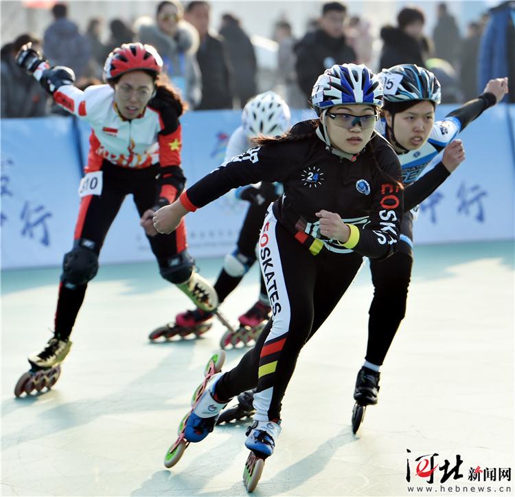 河北冬奥冰雪产业大型人才交流会,冰雪产业动态