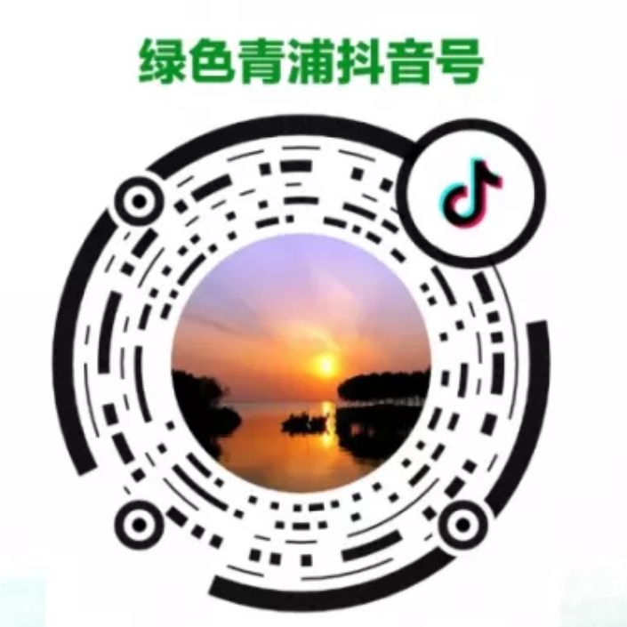 元旦火车票开售啦,元旦火车票好买吗