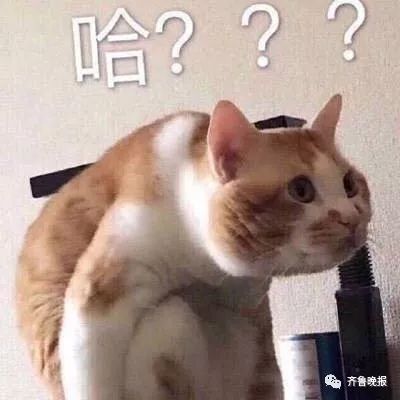 男子用两个平台抢春运火车票,花两份钱竟买了同一个座