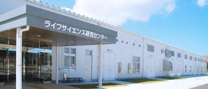 无糖低脂饱腹饼干,哪种饼干热量低饱腹感强测评