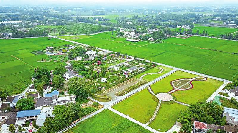 昔日落后村探路农商文旅体融合发展——川西林盘里如何玩转产业“魔方”