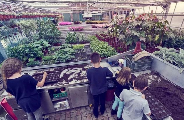 赵文卓子女学费,赵文卓女儿上最贵的学校