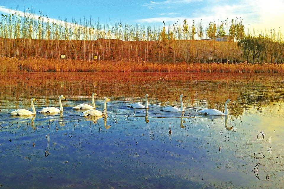 济南的冬天和白马湖之冬,济南的冬天山水美在哪里