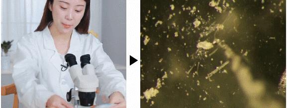 法国Lérane草本净螨贴，萃取天然植物，除螨更安心