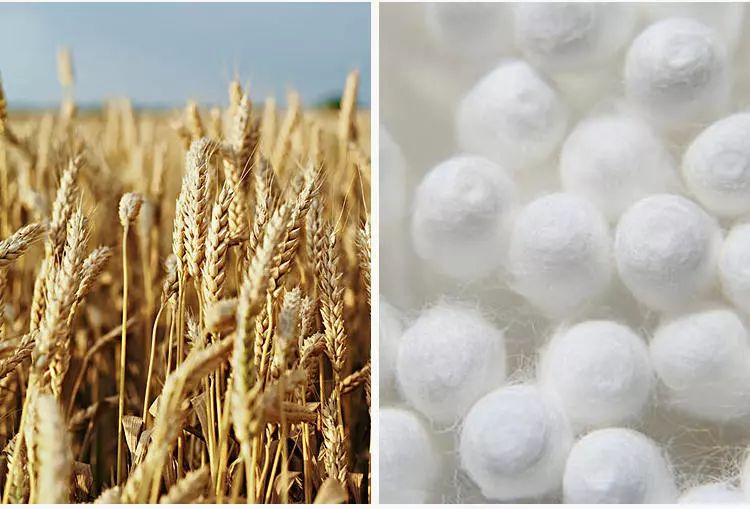 头皮痒头屑多有头螨怎么办,头螨大块头屑怎么治好得快