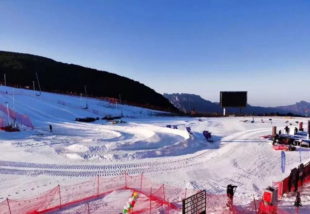 洛阳旅游年票一日游路线规划,洛阳旅游有优惠活动吗