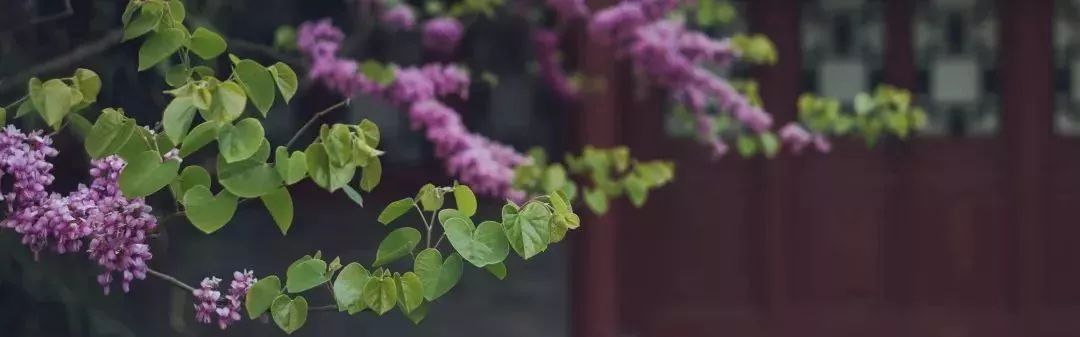 qs就业能力世界排名,qs大学毕业生就业排行