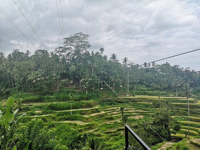 巴厘岛旅游自由行详细攻略,巴厘岛旅行攻略自由行路线图大全