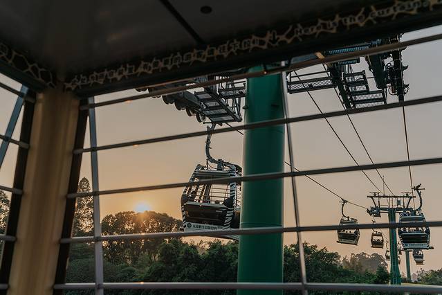 广州长隆野生动物世界旅游攻略,暖冬长隆3天2晚