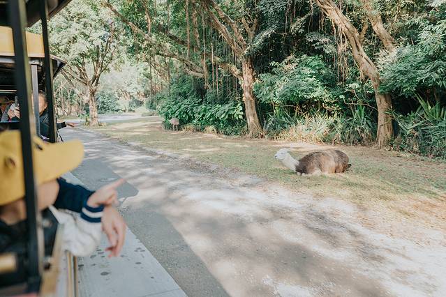 来长隆隆重过大年暖冬游长隆,暖冬游长隆福路通