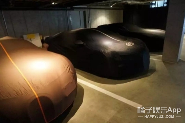 日本亿万富翁登上月球,亿万富翁公开征婚完整版