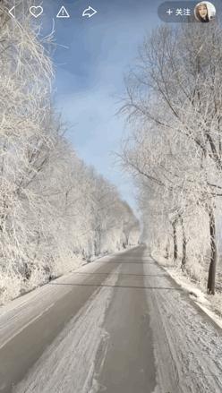 本来想去薅羊毛,却沉迷在这张“活的”地图上……