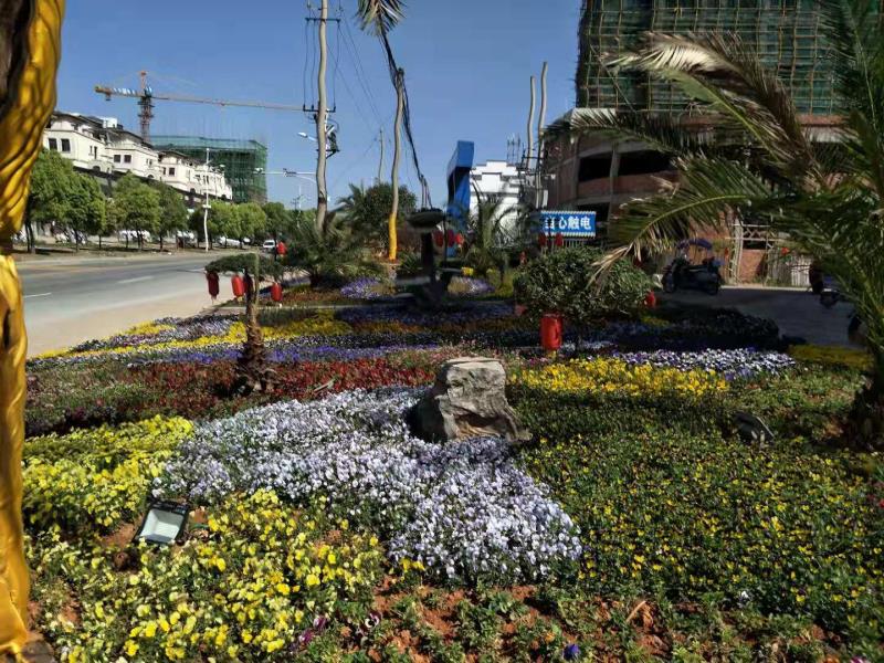 横峰旭日学府七号楼租房,横峰旭日学府为什么便宜