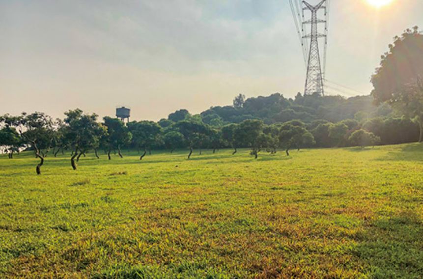 深圳市最新步道,深圳十佳绿道