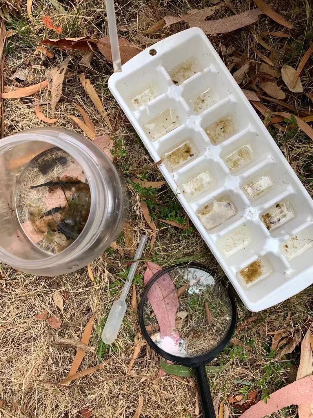 没有作业的澳洲暑假怎么熬？