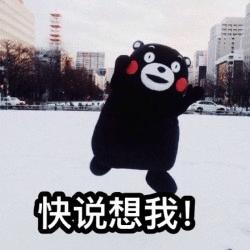 眉笔网红推荐,全网最好用的眉笔是哪一款