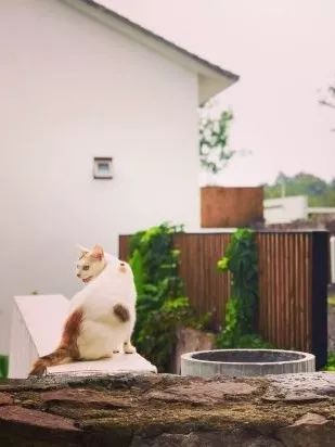 自驾温泉攻略大全图解,江浙沪1-2天短途旅游温泉