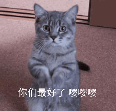 企业取名逻辑,公司起名的重要性