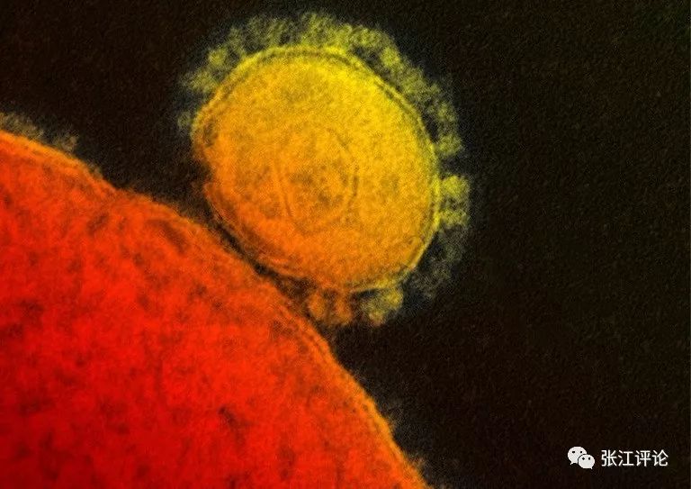 了解新型冠状病毒的最新药,新型冠状病毒治疗药已研发