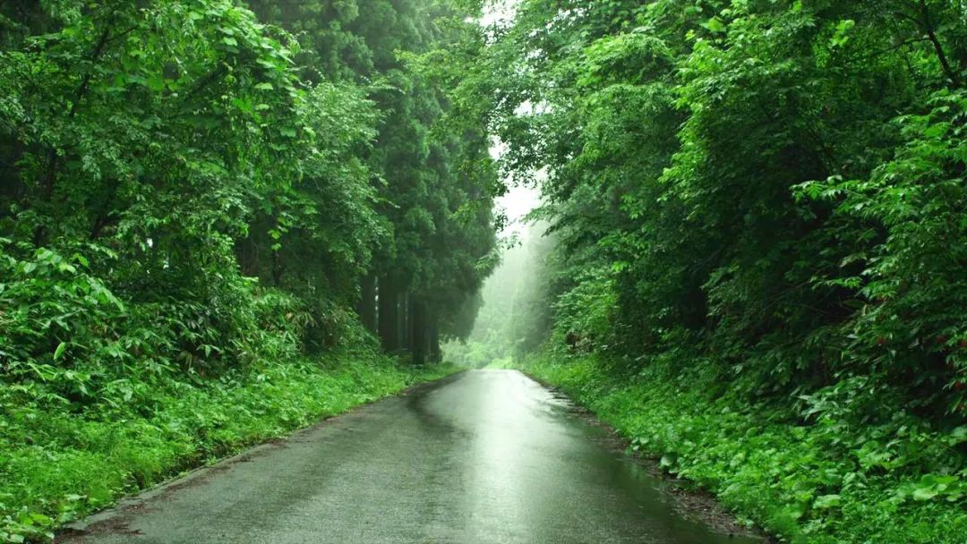 宅在家里也能拍出大自然风景,宅在家里挖掘自己的潜能