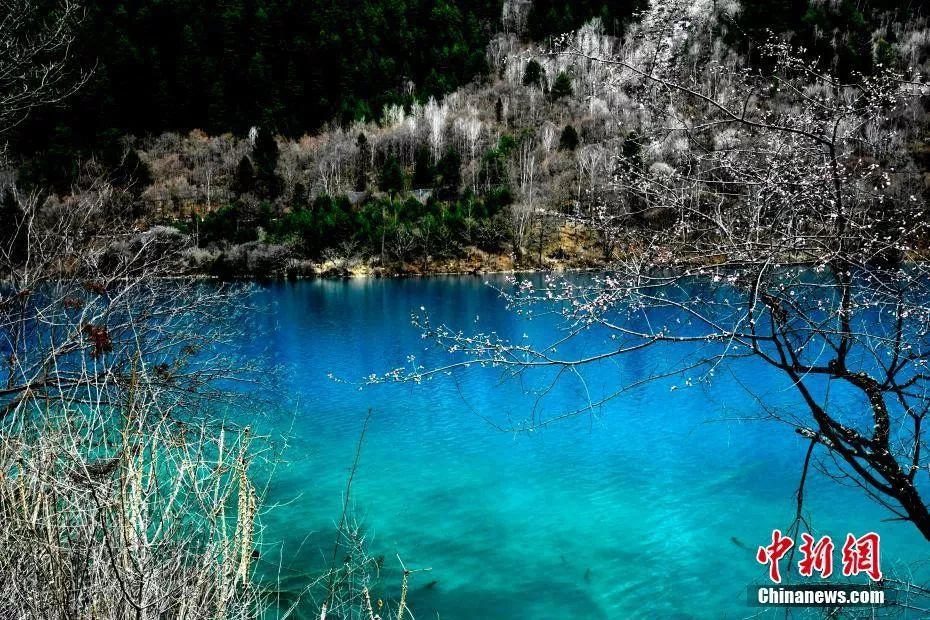 今日立春冬已尽春可期,今日立春春暖花开